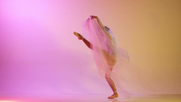 베이지 아름다운 발레리나는 분홍색 스튜디오 직물로 아름다움 영감의 — 비디오