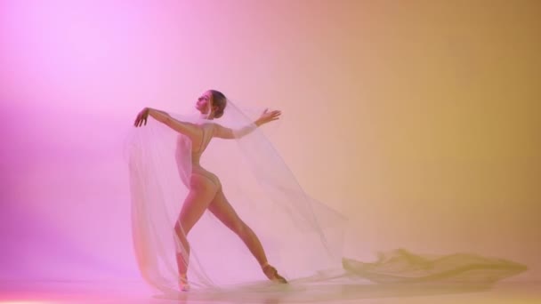 남성성 여성성 아름다운 댄서가 빛에서 바탕에 베일을 공연합니다 아름다움 영감의 — 비디오