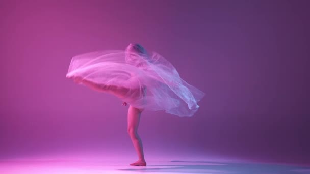 예술가 조명을 분홍색 보라색 스튜디오 배경에 베일을 아름다운 발레리나가 있습니다 — 비디오