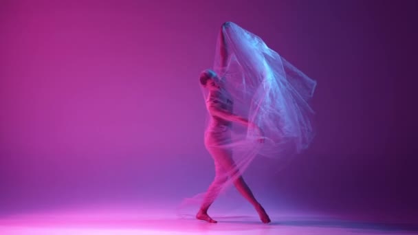 부드럽고 재능있는 베이지 발레리나가 라이트의 분홍색 보라색 스튜디오 배경에 베일을 — 비디오