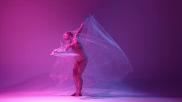 光与自由年轻娇嫩的女孩 芭蕾舞演员带着透明的面纱在霓虹灯下与渐变的粉色紫色工作室背景跳舞 古典艺术 灵感的概念 — 图库视频影像