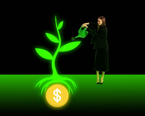Koncentrovaná Motivovaná Ambiciózní Zaměstnankyně Podnikatelka Zavlažující Rostliny Rostoucí Finanční Aspekt — Stock fotografie