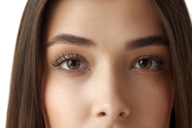 Açık tenli, kahverengi gözlü, beyaz stüdyo arka planına bakan güzel kadınların yakın plan görüntüleri. Görüş, göz lensleri. Kadın güzelliği kavramı, vücut ve cilt bakımı, sağlık, reklam