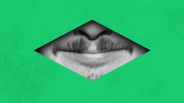 在绿色背景下 在几何形状元素中 男性面部 嘴唇和胡须的黑白图像 停止运动 当代艺术创意 抽象艺术的概念 — 图库视频影像