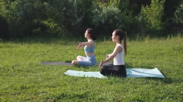 Две Молодые Девушки Друзья Тренируются Вместе Открытом Воздухе Теплый Солнечный — стоковое видео