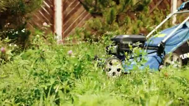 Jardinero Usando Máquina Cortar Césped Para Cortar Hierba Jardín Cuidar — Vídeo de stock