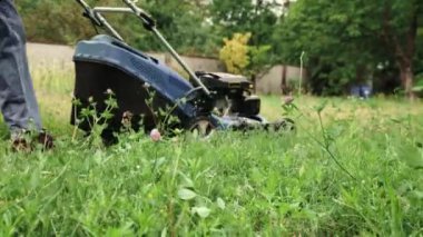 Bahçıvan, bahçıvan, esneme makinesi kullanan, bahçede çim biçen bir hizmetçi. Yaz günü aktiviteleri ve açık hava işleri. Ev işleri, ev ortamından sonra ilgilenmek.
