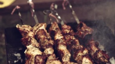 Kömürde dumanla pişirilen lezzetli et. Sıcak bir yaz gününde dışarıda barbekü yapmak. Parti, arkadaşlık, yaz, boş zaman, açık hava aktivitesi, eğlence ve neşe kavramı