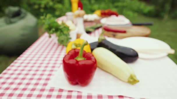 야채와 고기와 정원에 서있는 테이블 바베큐 소시지 피크닉 요리의 — 비디오