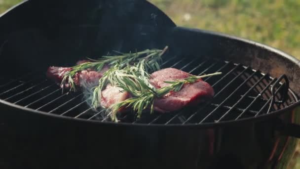 Lahodný Masový Steak Rozmarýnem Pečený Grilu Venku Piknik Teplého Letního — Stock video
