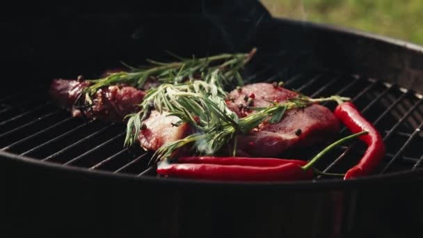 Pyszny Soczysty Stek Mięsny Rozmarynem Gotowanie Grillu Piknik Świeżym Powietrzu — Wideo stockowe