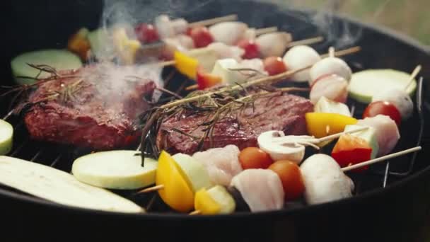 在花园里的户外烧烤 鸡肉和蔬菜的特写镜头放在有美味肉排的烤架上烹调的绞架上 暑期野餐 烹调的概念 — 图库视频影像