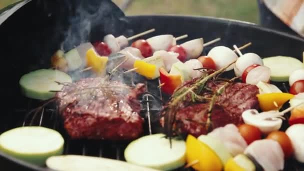 Barbecue Outdoors Garden Close Chicken Meat Vegetable Skewers Delicious Meat — Stock Video