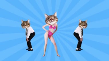 Mayo giymiş bir kadın mavi arka planda resmi giyinmiş bir adamın yanında dans ediyor. Kedi ağızlık takan insanlar. Hareket etmeyi, animasyonu durdurun. Parti kavramı, sürrealizm, eğlence ve neşe, disko, hayvan teması