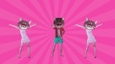 Yaz havası. Kedi ağızlıklı kadın ve erkek pembe arka planda dans ettiler. Hareket etmeyi, animasyonu durdurun. Parti kavramı, sürrealizm, yaratıcı vizyon, eğlence ve neşe, disko, hayvan teması
