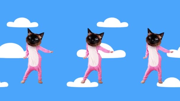 Design Criativo Com Gatos Pijama Rosa Dançando Contra Fundo Azul — Vídeo de Stock