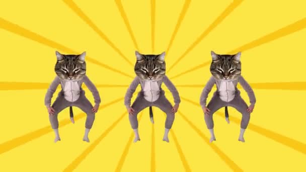 Δημιουργικός Σχεδιασμός Αστείες Γάτες Πιτζάμες Που Χορεύουν Κίτρινο Φόντο Σταματήστε — Αρχείο Βίντεο