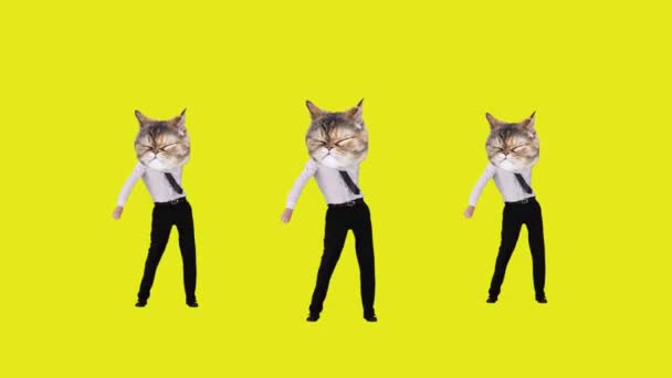 フォーマルウェアの男性は 黄色の背景に対してダンスする面白い猫のマズルで頭を下げました ビジネスだ アニメーションを停止する パーティー シュルレアリズム 創造的なビジョン 楽しみと喜び ディスコ 動物のテーマのコンセプト — ストック動画