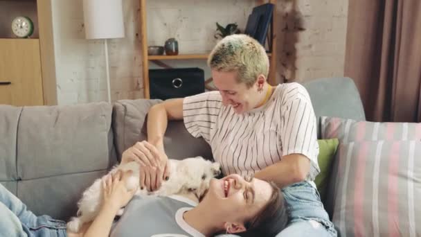Două Femei Tinere Care Stau Canapea Acasă Joacă Câinele Mic — Videoclip de stoc