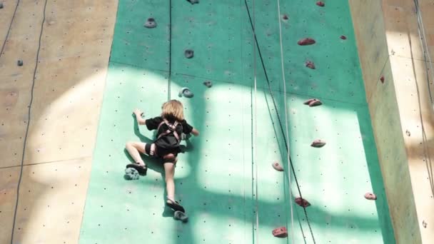 Küçük Bir Kız Yapay Duvara Tırmanan Bir Çocuk Açık Hava — Stok video