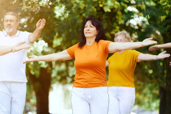 Group of elderly people, man and women training together outdoors on warm summer morning, doing exercises. Concept of sport and health, active lifestyle, age, wellness, body, care
