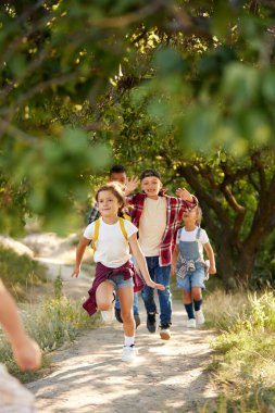 Aktif, şakacı çocuklar, günlük kıyafetler giymiş kızlar ve oğlanlar sıcak yaz gününde ormanda eğleniyor, koşuyor, yürüyor. Boş zaman aktivitesi kavramı, çocukluk, arkadaşlık, aktif yaşam tarzı, eğlence, doğa