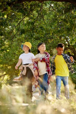 Çocuklar, parkta yürüyen aktif çocuklar, sıcak yaz günlerinde orman. Aktif hafta sonları. Gezginler. Boş zaman aktivitesi kavramı, çocukluk, yaz, arkadaşlık, aktif yaşam tarzı, eğlence, doğa
