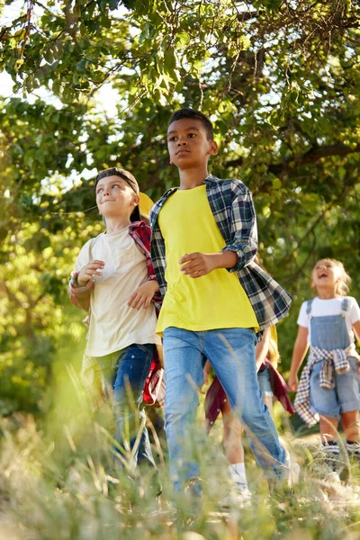 Crianças Crianças Ativas Andando Parque Floresta Dia Quente Verão Fins — Fotografia de Stock