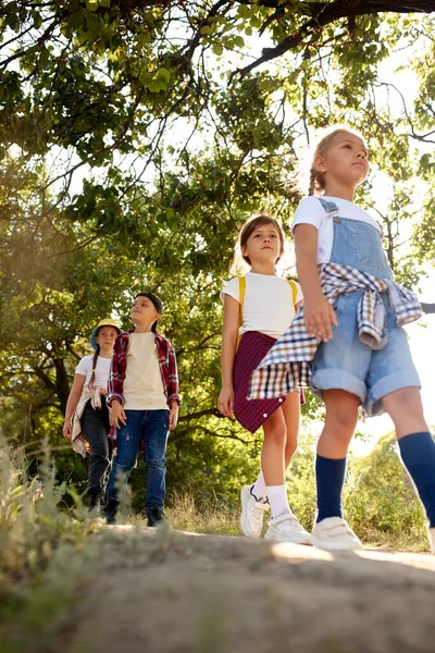 Positive Verspielte Kinder Jungen Und Mädchen Freizeitkleidung Beim Wandern Auf — Stockfoto