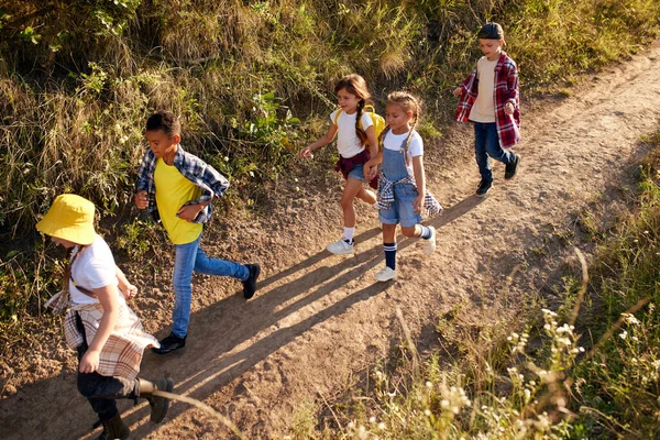 Draufsicht Bild Von Kindern Jungen Und Mädchen Fuß Auf Pfad — Stockfoto