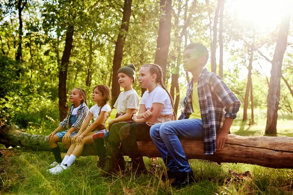 Crianças Brincalhão Alegre Sentado Log Floresta Dia Ensolarado Caminhar Caminhar — Fotografia de Stock