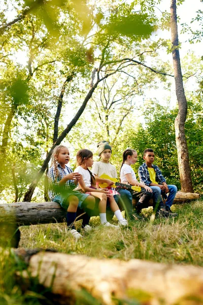 Fröhlich Verspielte Kinder Sitzen Sonnigen Tagen Auf Baumstämmen Wald Wandern — Stockfoto