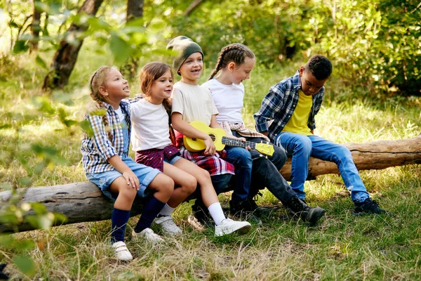 Fröhlich Verspielte Kinder Sitzen Sonnigen Tagen Auf Baumstämmen Wald Wandern — Stockfoto