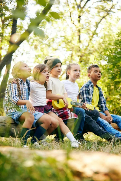 Bambini Felici Seduti Sul Log Foresta Nella Giornata Sole Suonare — Foto Stock