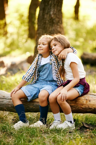 快乐的孩子们 女孩们坐在木头上 拥抱着 在阳光灿烂的日子里在森林里度过愉快的时光 休闲活动的概念 积极的生活方式 — 图库照片