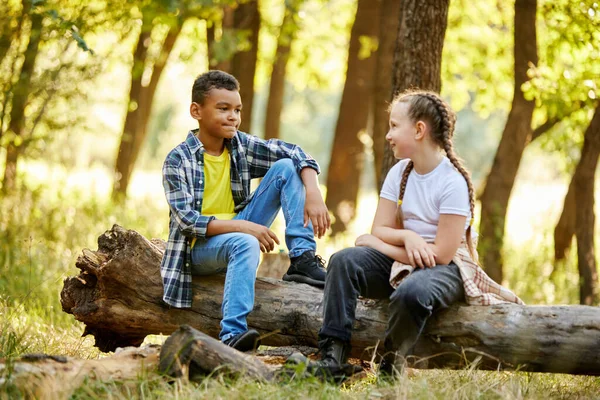 Crianças Sentadas Log Conversando Brincando Divertindo Juntas Caminhando Floresta Dia — Fotografia de Stock