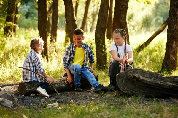 Kinderen Zitten Het Logboek Praten Spelen Plezier Hebben Samen Wandelen — Stockfoto