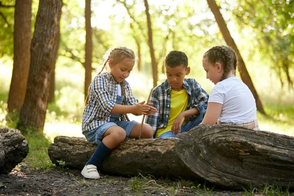 Crianças Menino Menina Sentados Floresta Dia Ensolarado Quente Brincando Divertindo — Fotografia de Stock
