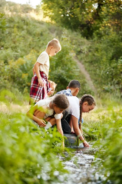 Kinder Die Der Nähe Eines Kleinen Flusses Wald Spielen Hände — Stockfoto