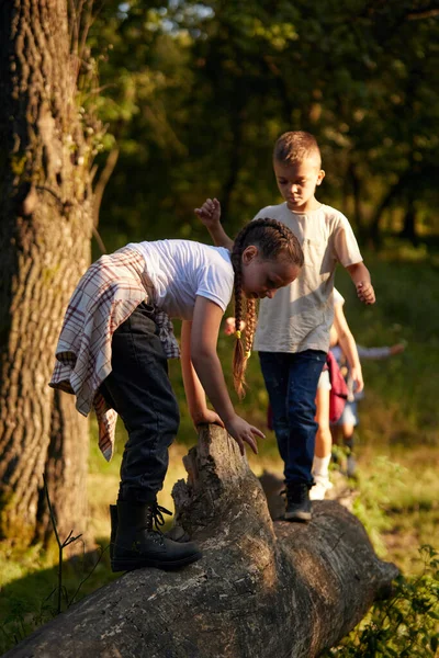 Kleine Kinderen Spelen Het Bos Zonnige Dag Staan Stenen Hebben — Stockfoto