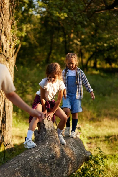 Crianças Brincando Floresta Dia Ensolarado Sobre Pedras Divertindo Livre Conceito — Fotografia de Stock