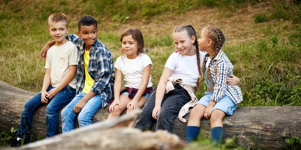 Wesołe Wesołe Dzieci Siedzą Lesie Słoneczny Dzień Wędrówki Spacery Aktywne — Zdjęcie stockowe