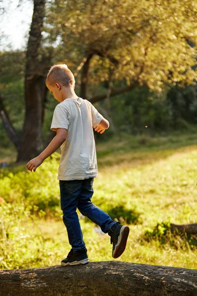 Kleiner Junge Kind Geht Balanciert Auf Baum Baumstamm Spielen Wald — Stockfoto