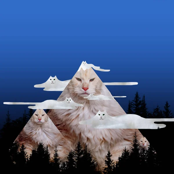 Gato Divertido Serio Imagen Montañas Sobre Cielo Nocturno Volcán Arte — Foto de Stock