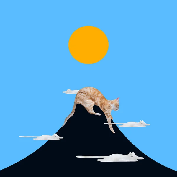 Спокійний Сплячий Кіт Лежить Вершині Гори Над Блакитним Небом Сонцем — стокове фото