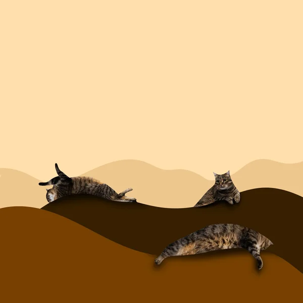 Кошки Лежат Песке Пустыне Абстрактное Искусство Природа Рисунки Стиле Карикатуры — стоковое фото