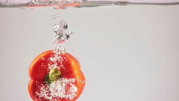 Taze Kırmızı Sarı Biberler Suya Dökülüyor Organik Sebzelerin Lezzetli Tadı — Stok video