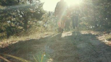 Erkek ve kadın bacaklarına odaklan. Sıcak ve güneşli bir günde ormanda yürüyen insanlar. Yürüyüş, açık hava aktivitesi. Boş zaman kavramı, aktif yaşam tarzı, hobi, hafta sonları, doğa