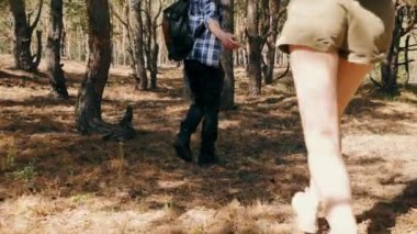 Gülümseyen, mutlu genç çift, erkek ve kadın ormanda birlikte güzel vakit geçiriyorlar, yürüyorlar, doğanın tadını çıkarıyorlar. Boş zaman kavramı, aktif yaşam tarzı, hobi, hafta sonları, doğa, ilişki