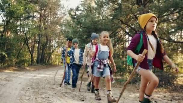 Grupo Crianças Meninos Meninas Roupas Confortáveis Com Mochilas Andando Floresta — Vídeo de Stock